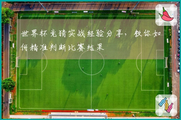世界杯竞猜实战经验分享，教你如何精准判断比赛结果