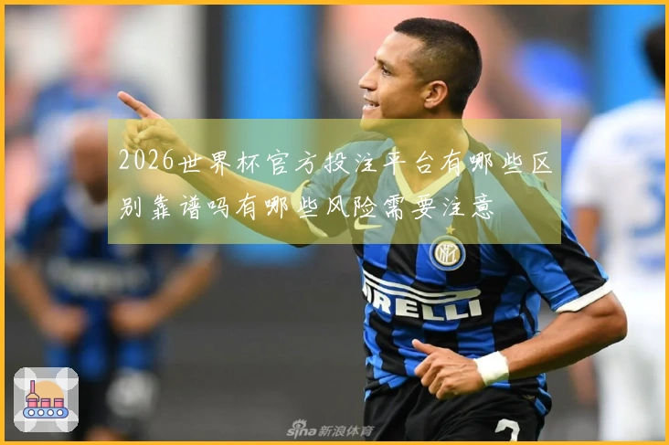 2026世界杯官方投注平台有哪些区别靠谱吗有哪些风险需要注意