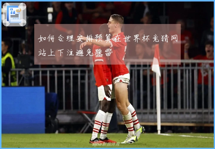 如何合理安排预算在世界杯竞猜网站上下注避免踩雷