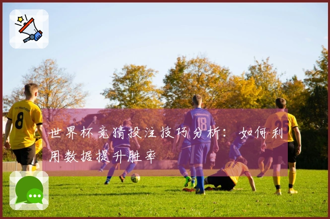 世界杯竞猜投注技巧分析：如何利用数据提升胜率
