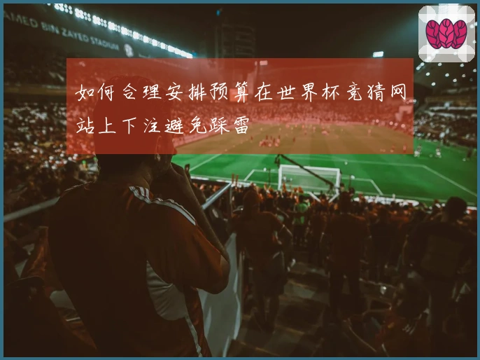 如何合理安排预算在世界杯竞猜网站上下注避免踩雷